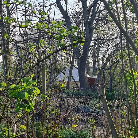 Luxury tent Naturlig Viis