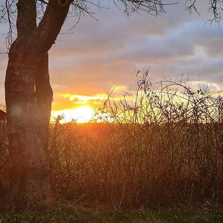 Luxuszelt Naturlig Viis *