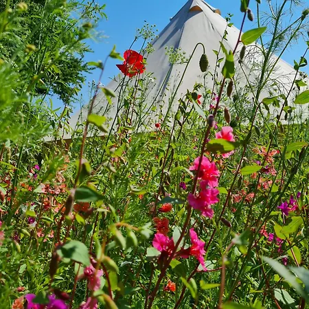 Naturlig Viis * Oster Ulslev
