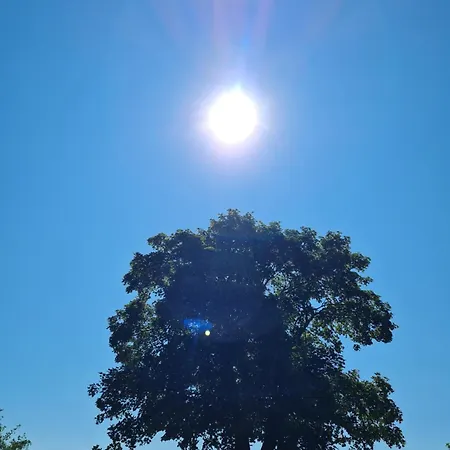 Luxuszelt Naturlig Viis Oster Ulslev